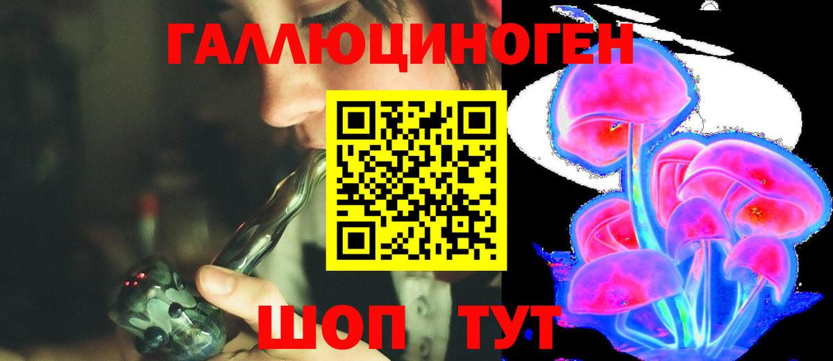 Псилоцибиновые грибы MAGIC MUSHROOMS Северск